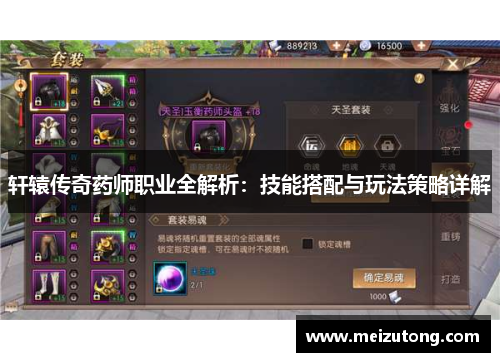 轩辕传奇药师职业全解析：技能搭配与玩法策略详解